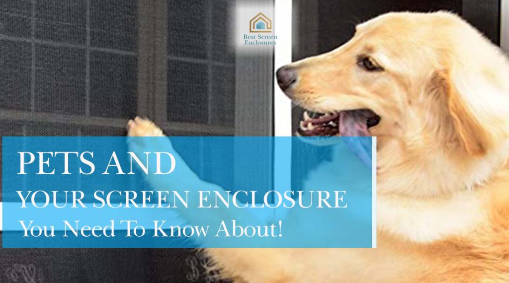 The Pet-Proof Screen